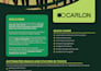 design canva editable template for print and digital graphic